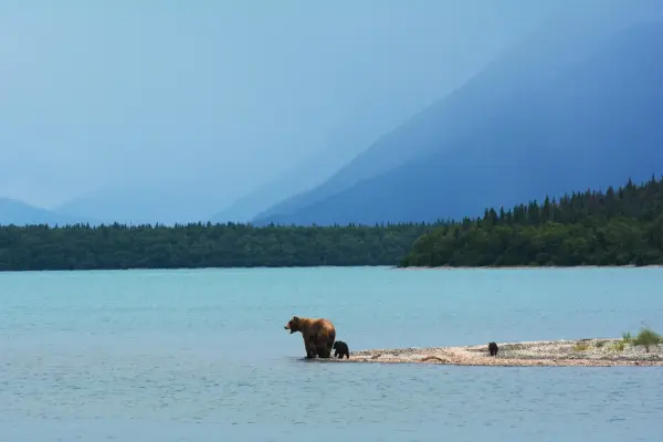 avventura-alaska-yukon02