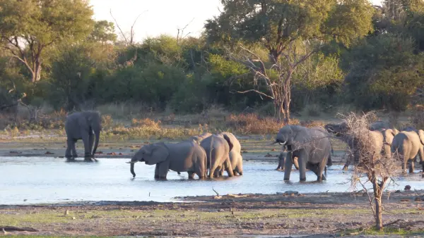 Botswana_GomotiRiverLodge4