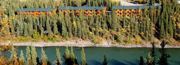 denali-grizzly-bear-resort01