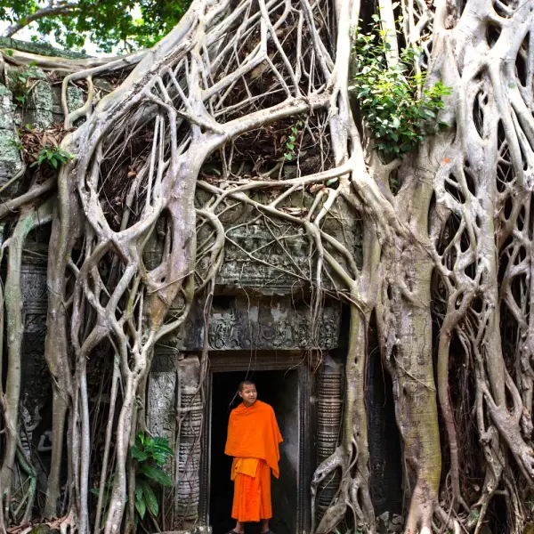 Easia_Travel_Siem_Reap_-_Family_in_Ta_Prohm_Temple_BE5P1214-1000px