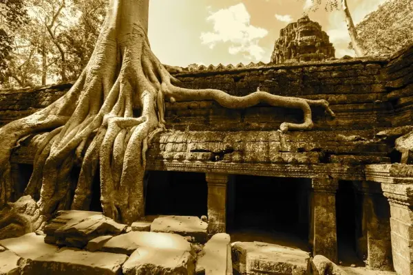 Easia_Travel_Siem_Reap_-_Family_in_Ta_Prohm_Temple_culture-Travel-Style-1000px