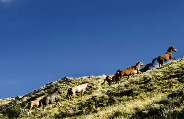 El_Calafate_trekking