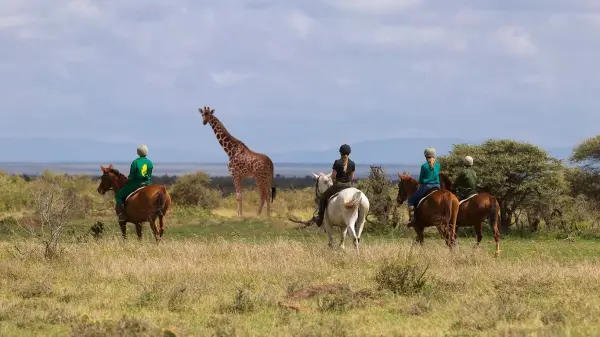 Elewana-Loisaba-Tented-Camp-horse-riding