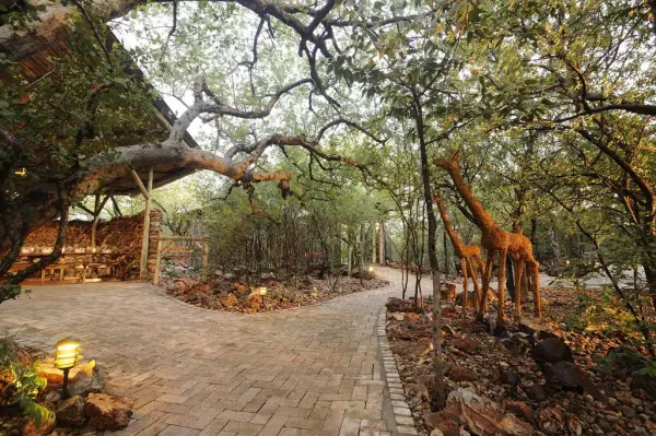 Etosha Village, giardino