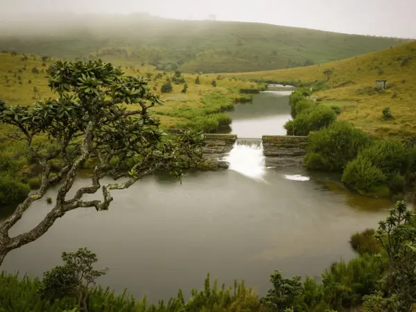 Horton_Plains_national_park_sri_lanka