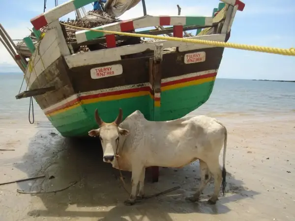 Madagascar, Spiaggia, Barche