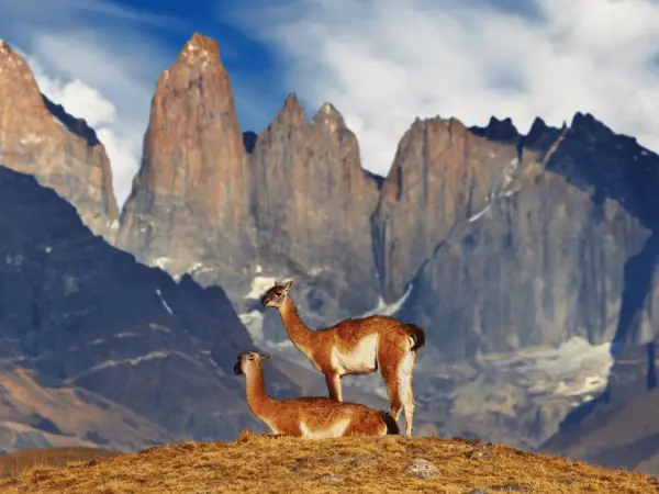 parco_national_torres_del_paine