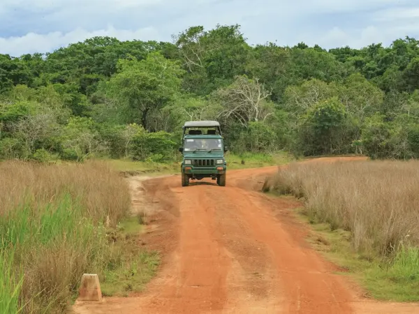 safari_wilpattu_sri_lanka