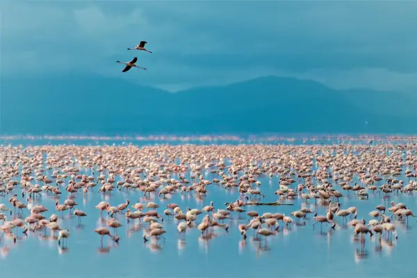 Tanzania_Lake_Manyara_National_Park