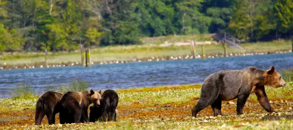 vancouver-island-slider