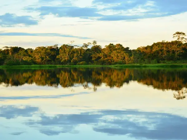 Yasuni_National_Park__1_