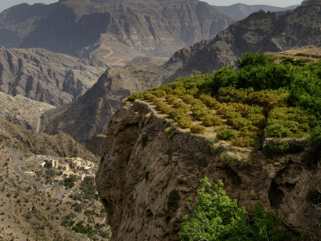 _Jebel_Akhdar_Oman