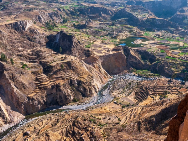 _Per__canyon_colca