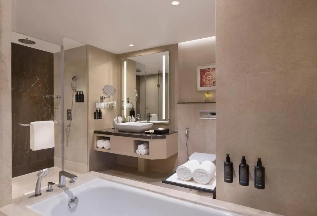 Agra_-_hotel_grand_mercure_bathroom