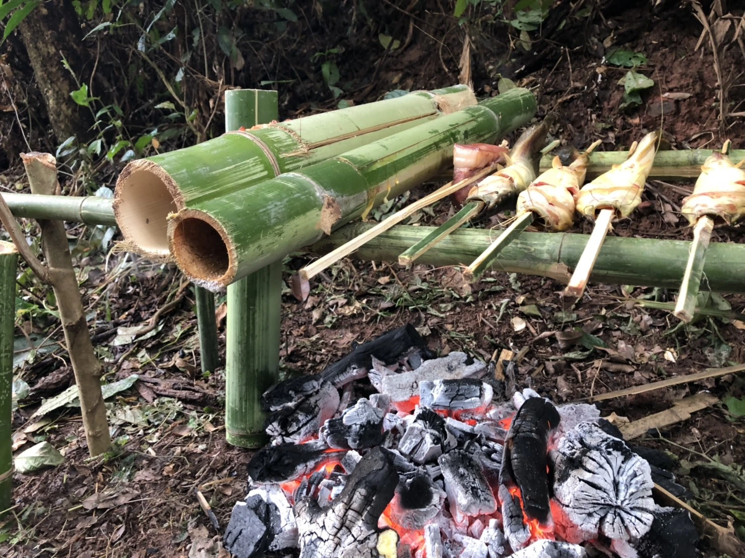 Ahsa_Farm_Stay_Activity_Tracking_03_Cooking_Lunch