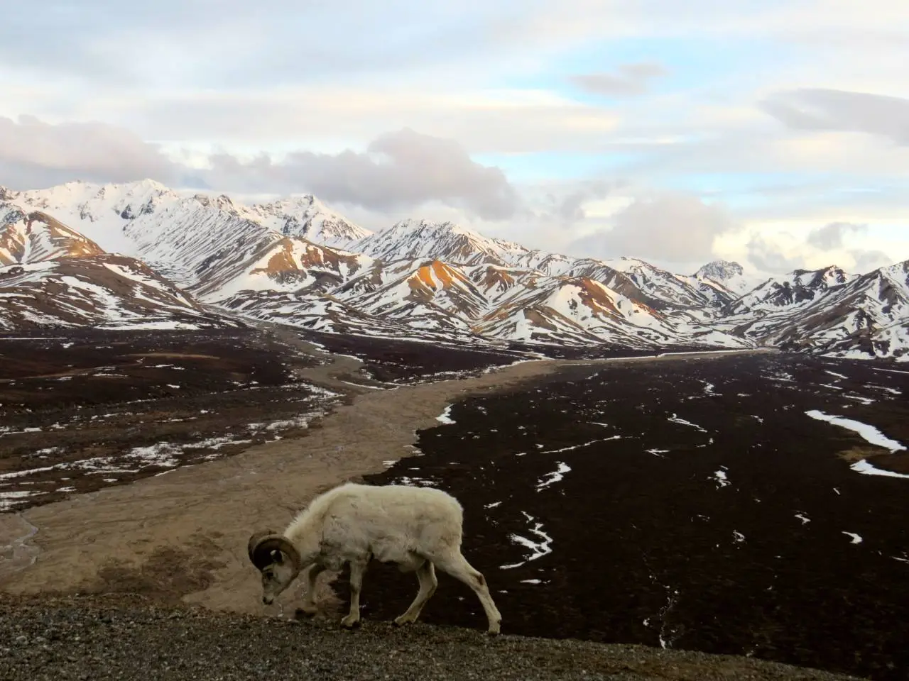 AlaskaDenaliBackcountryLodge16