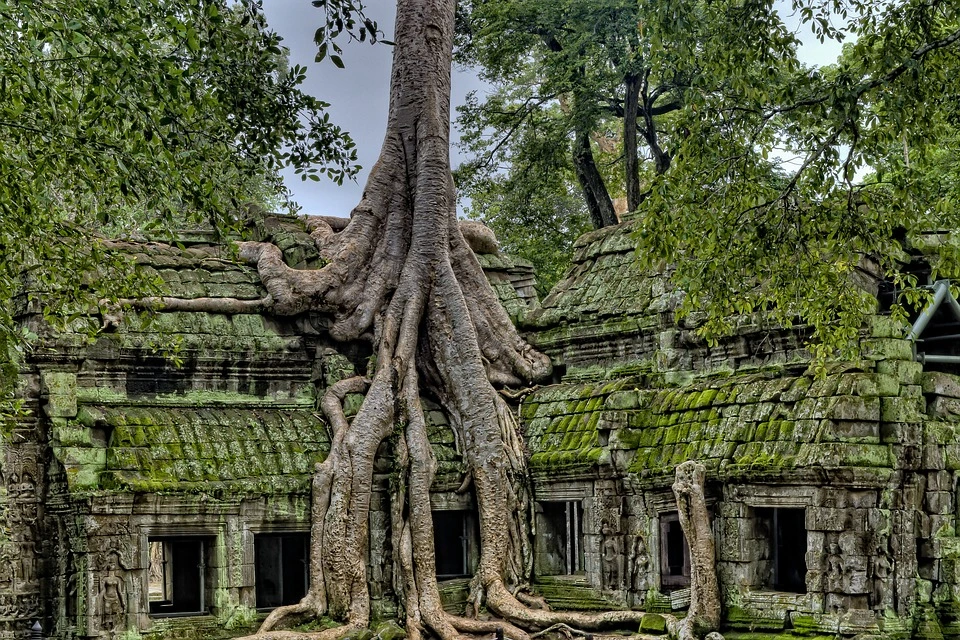 Angkor-natura_e_templi