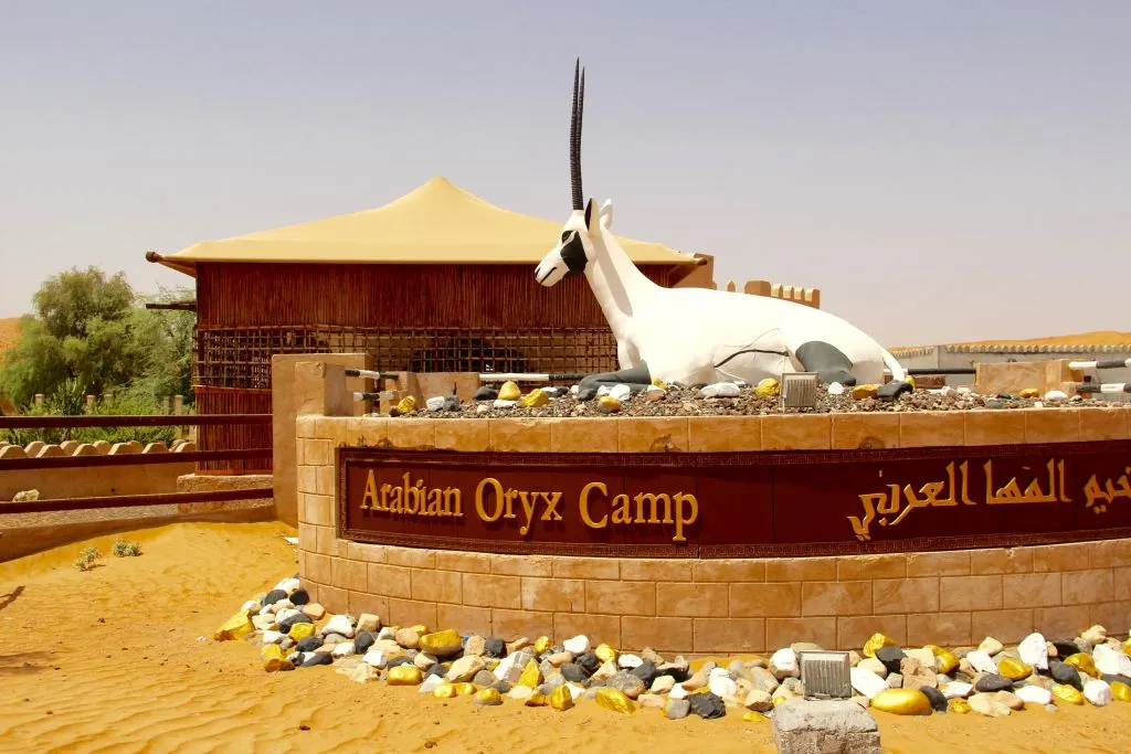 Arabian Oryx camp, ingresso