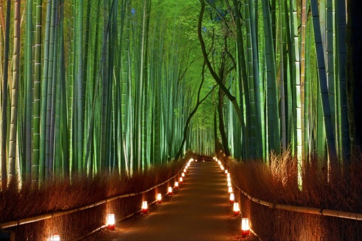 Arashiyama, Kyoto