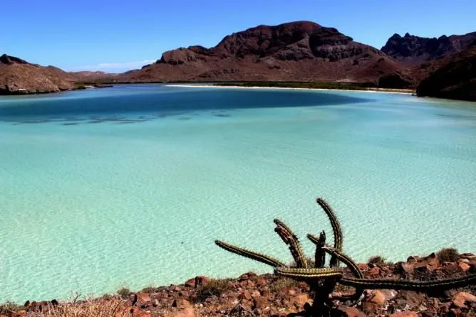 Bahia_Magdalena_frontani