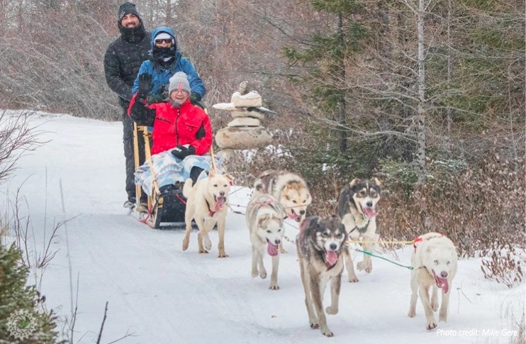 CanadaDogSledding