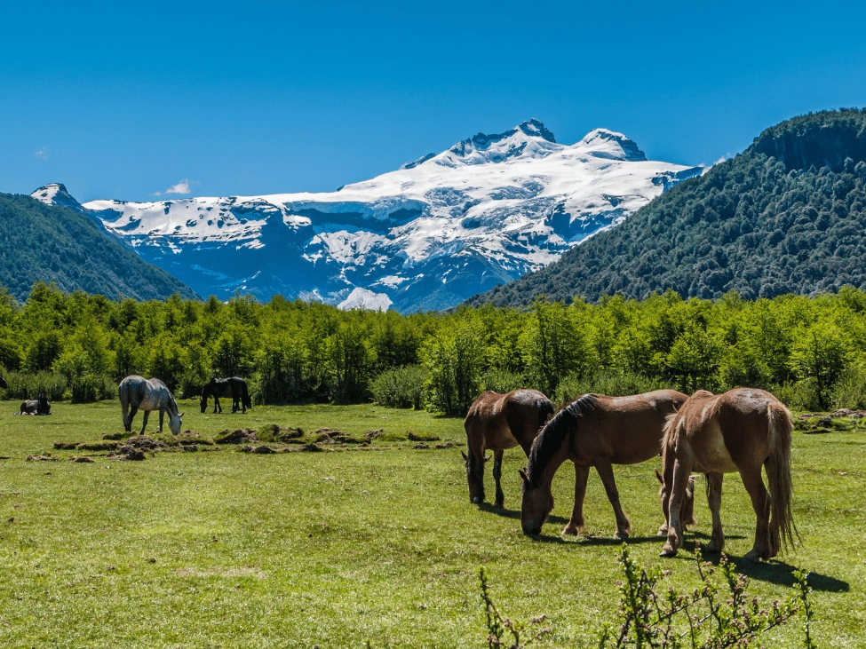 cerro_tronador