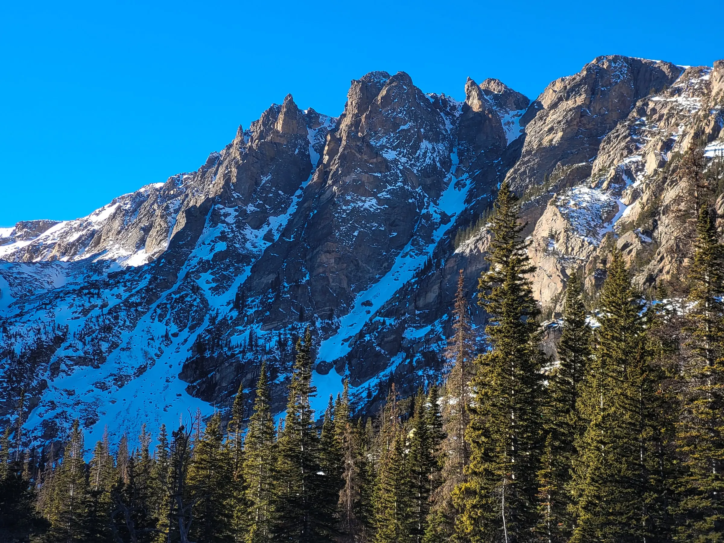 colorado-wild