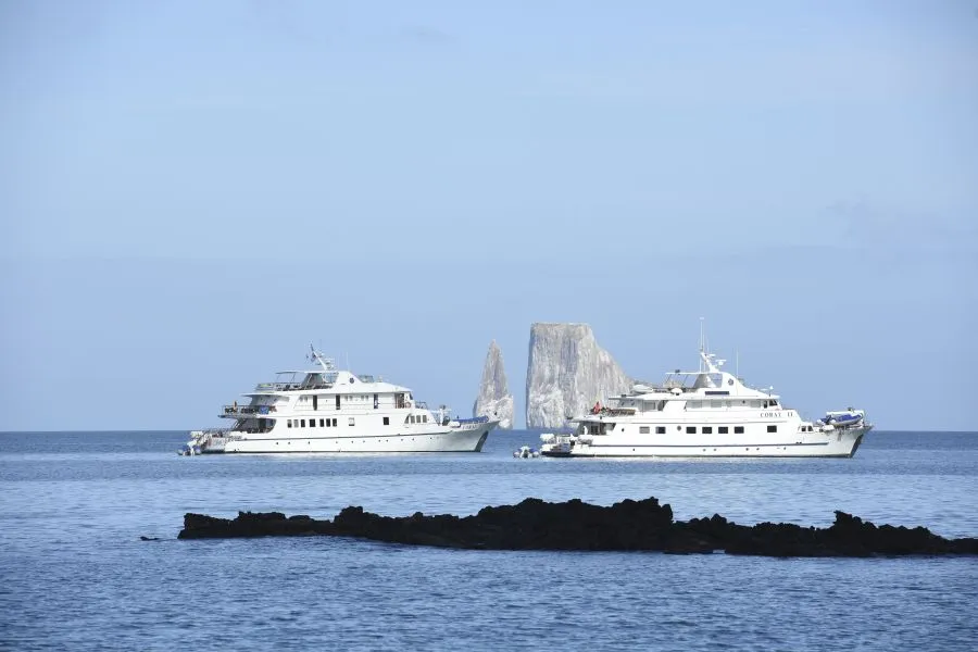 Coral I e II yachts