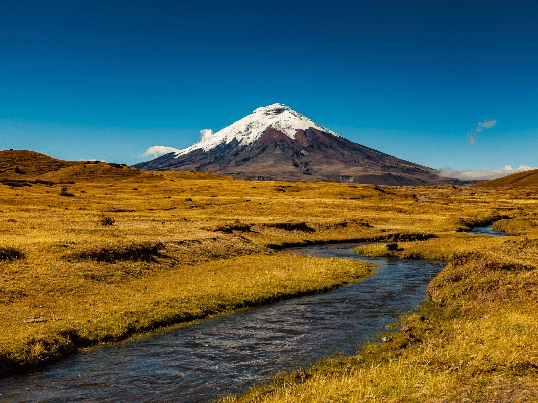 Cotopaxi_National_Park