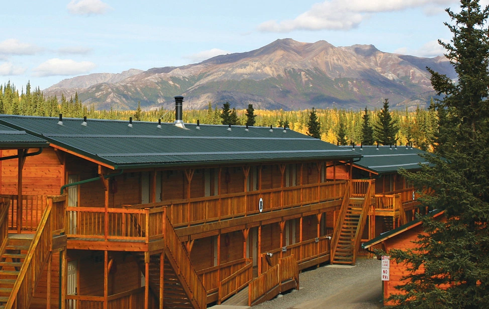 denali-grizzly-bear-resort02