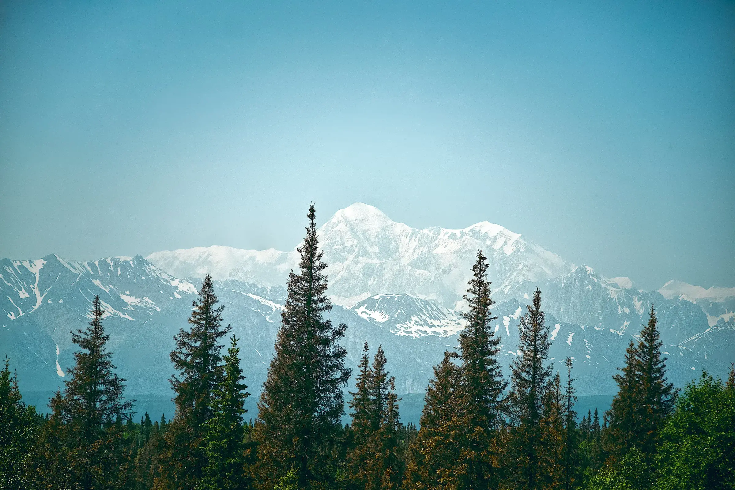 denali-national-park-02