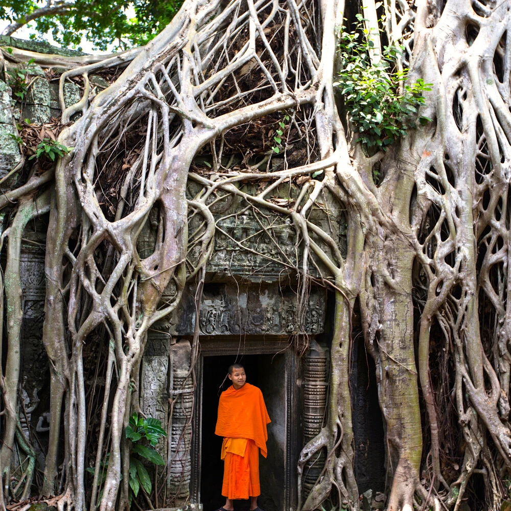 Easia_Travel_Siem_Reap_-_Family_in_Ta_Prohm_Temple_BE5P1214-1000px