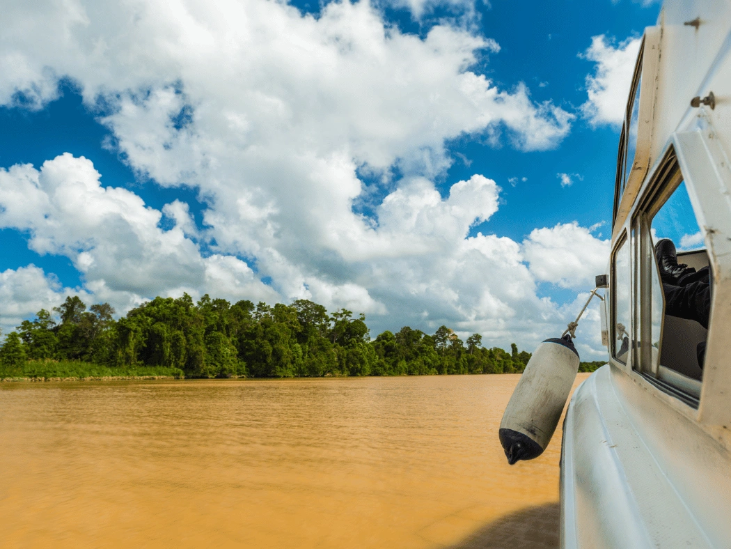 fiume_Kinabatangan