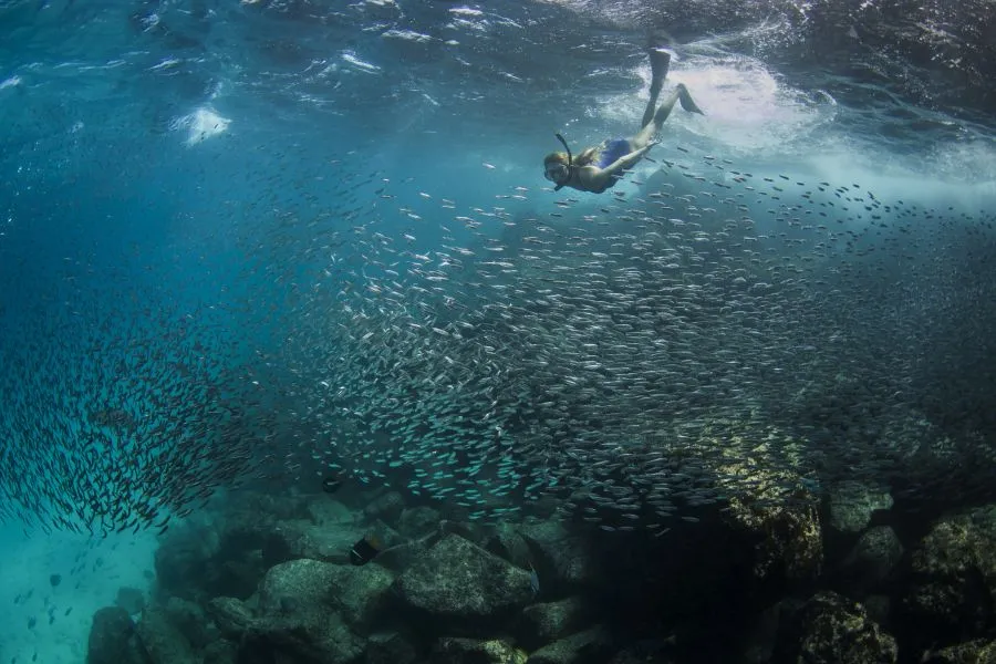 Galapagos, snorkelling