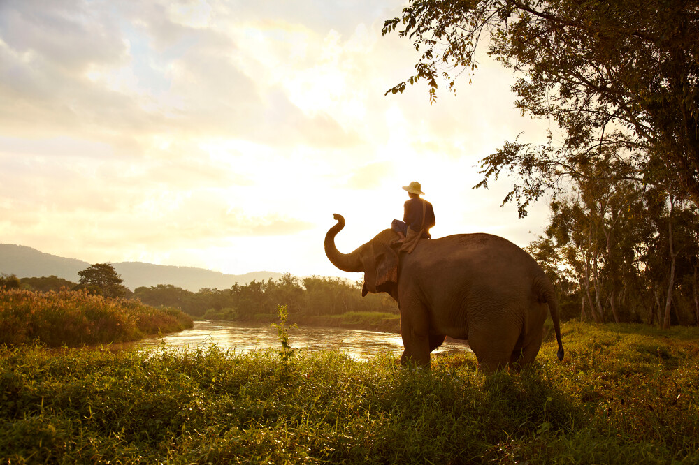 golden_triangle_chiang_rai