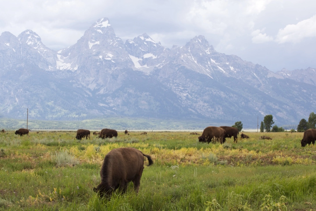 grand-teton01