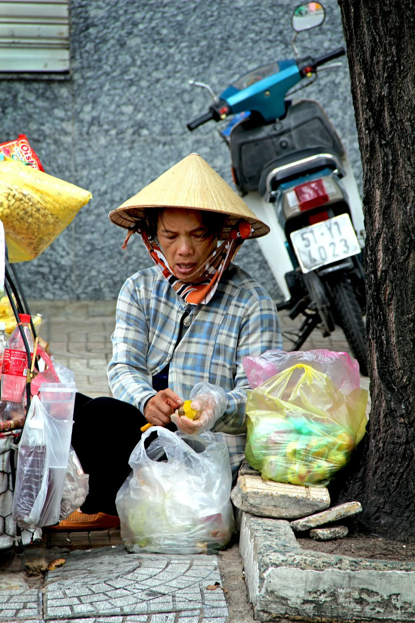 HCMC_view