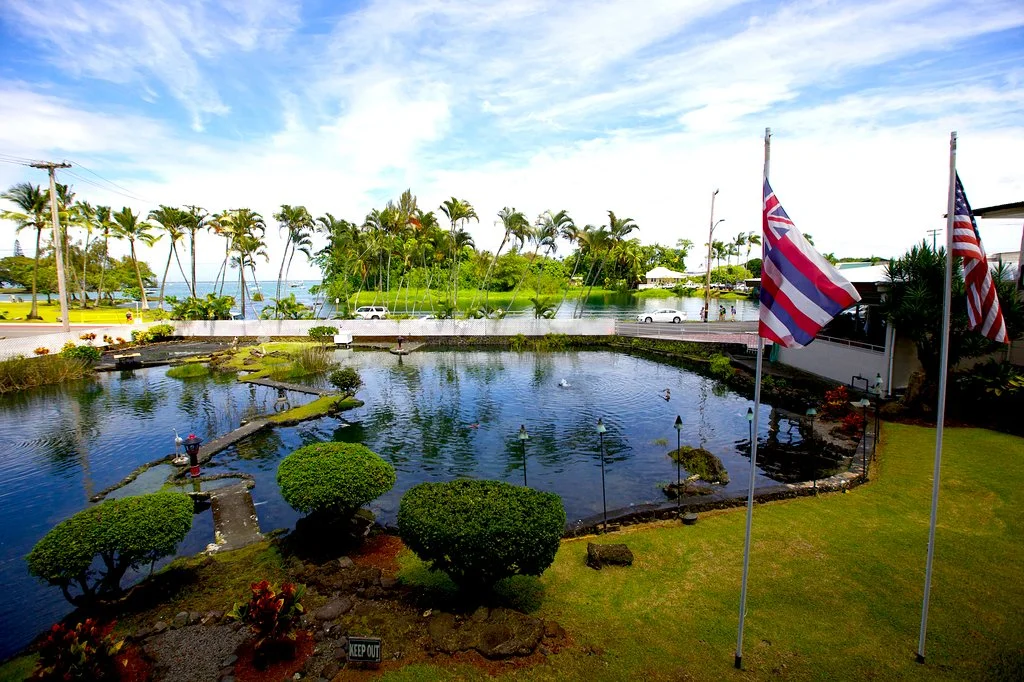 hilo-seaside-hotel15