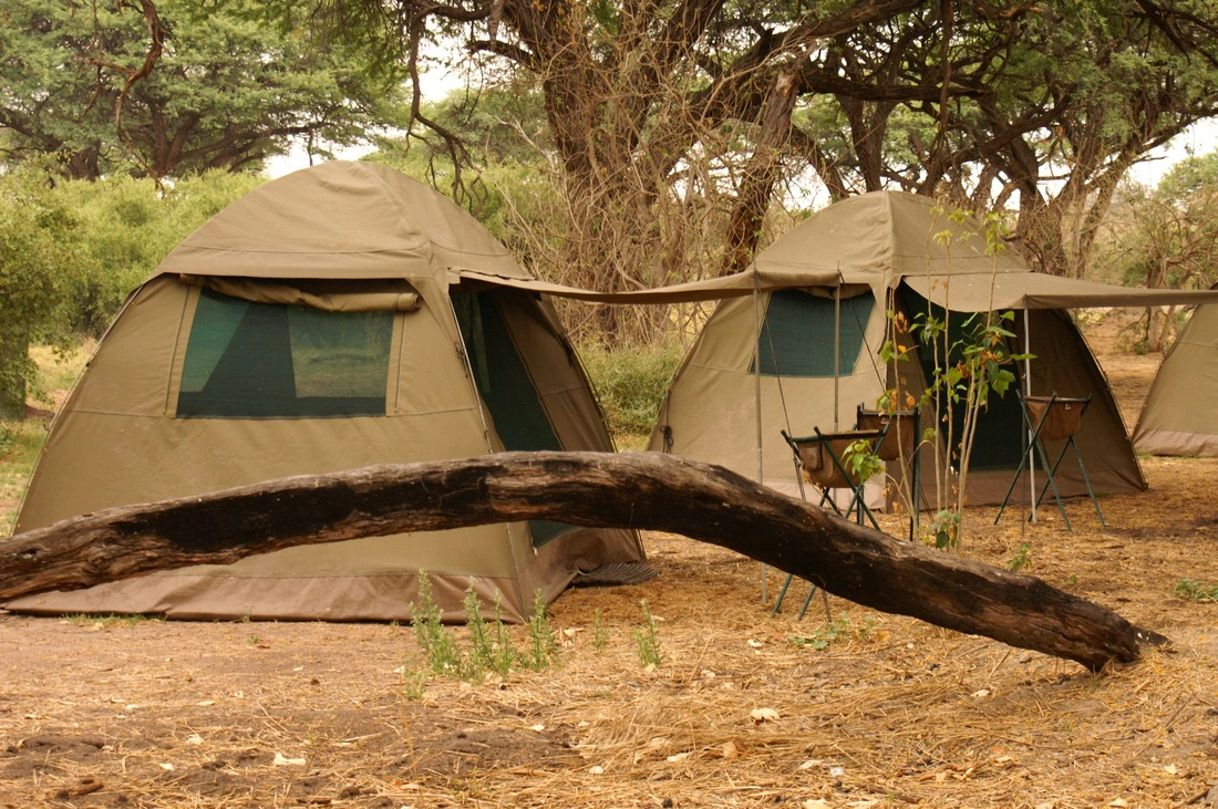 img_element_12868_cos-un-safari-camp