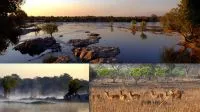 img_element_12874_kafue-national-park-zambia