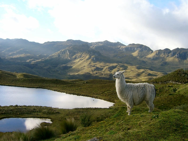 img_element_12975_parque-nacional-el-cajas