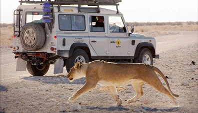 img_element_13149_la-scelta-del-fuoristrada-per-il-vostro-safari-sudafricano