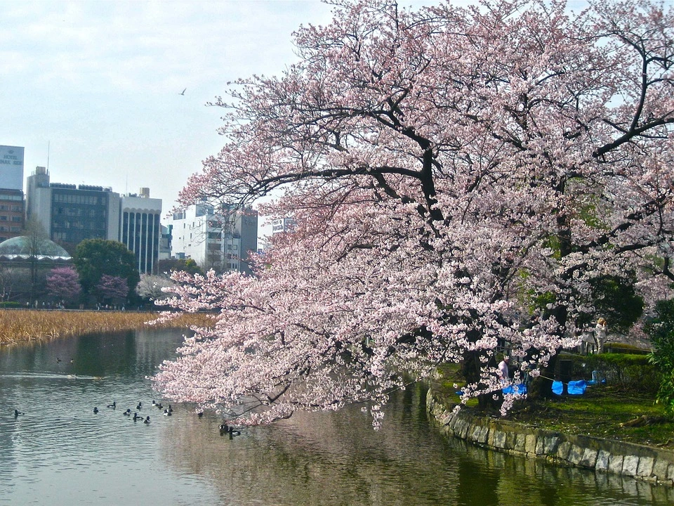 East Gardens Imperial Palace, Tokyo