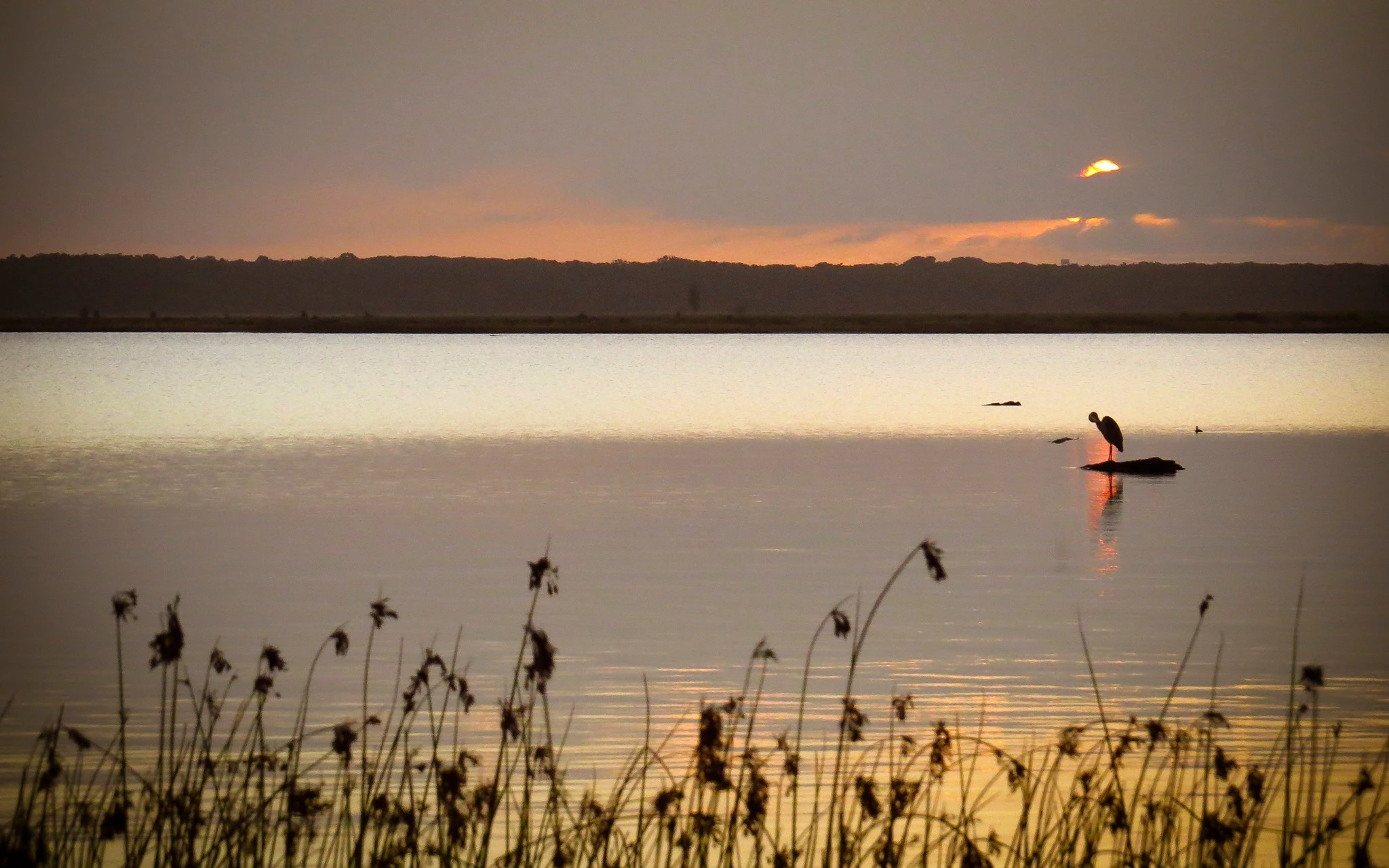 iSimangaliso_Wetland_Park_3