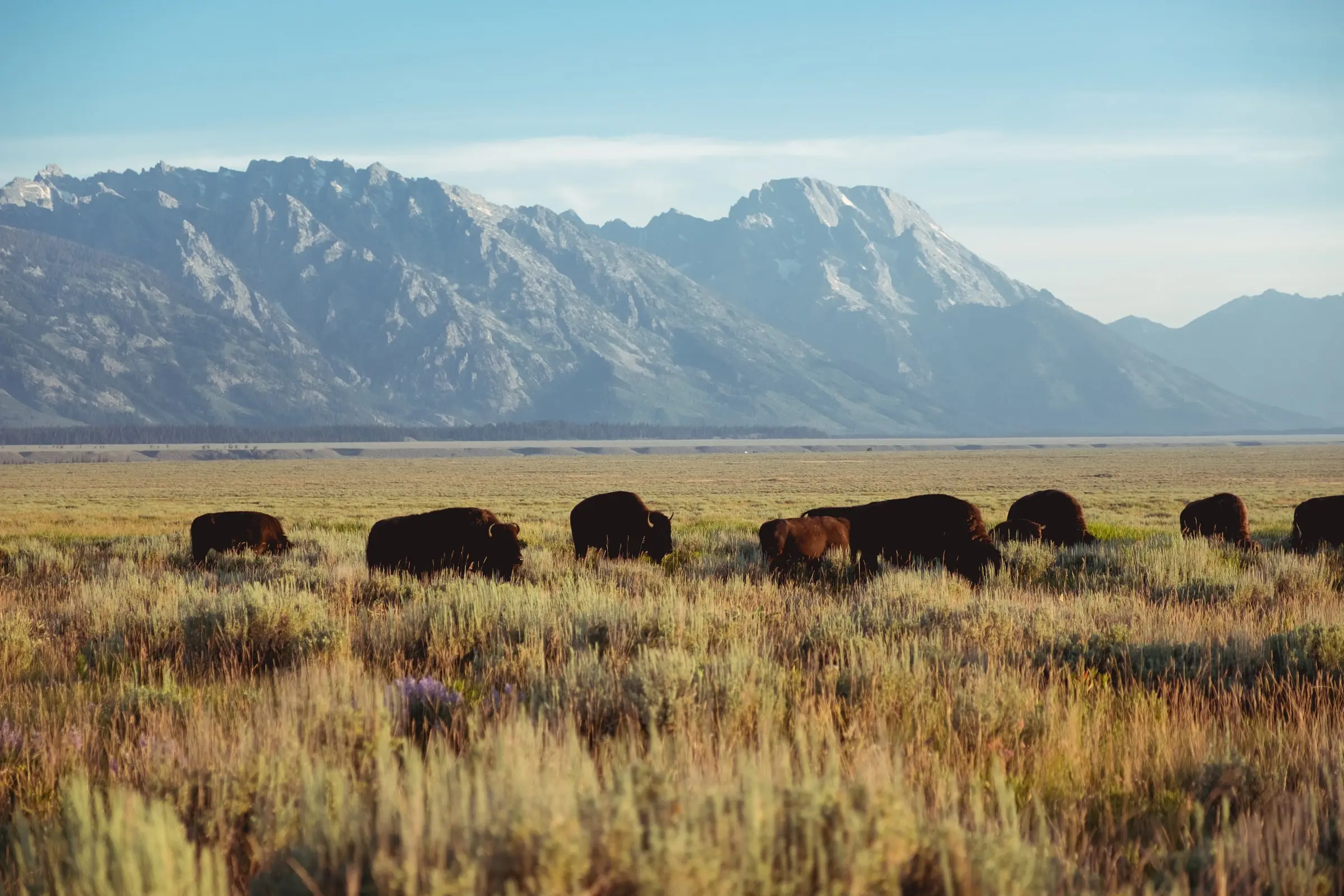 Jackson_Hole__Wyoming