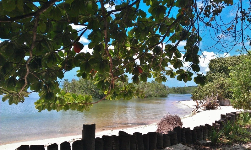 La natura del lodge