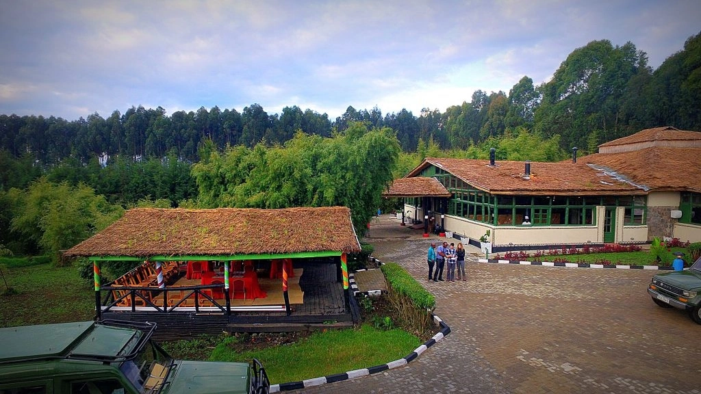 Bamboo Gorilla Lodge, Esterno