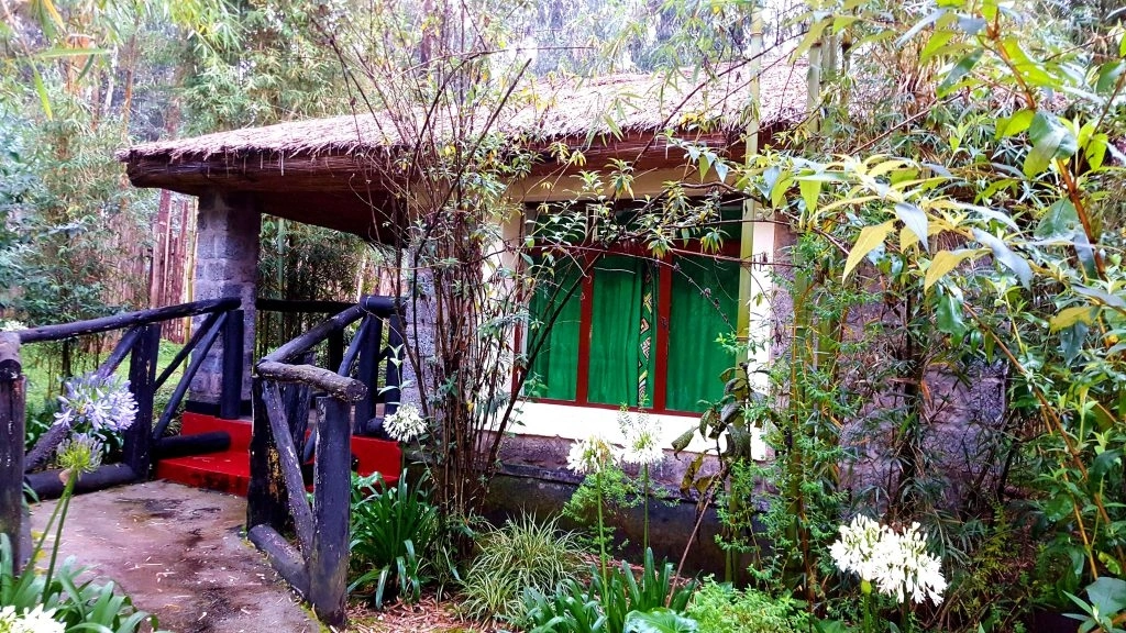 Bamboo Gorilla Lodge, Esterno Cottage