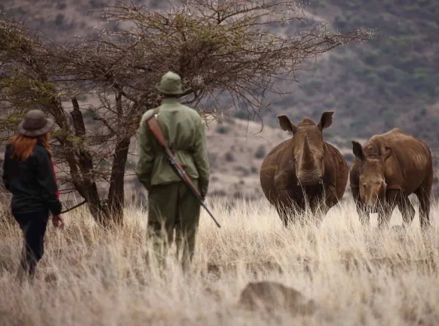 Lewa_Safari_Camp_-_Bush_Walk_-_Rhino_2