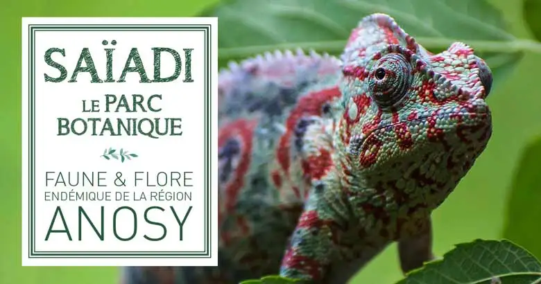 Madagascar_Excursions-Saiadi-TimeCapsule-lr